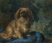 Pekiński - François-Charles Cachoud — widok dzieła