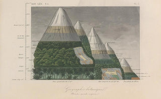 Franois Hrincq - Traite de botanique generale Pl007.webp