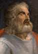 Mężczyzna z brodą - Frans Floris — widok dzieła