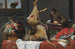 Martwa natura z martwym jeleniem - Frans Snyders — widok dzieła