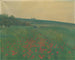 czerwonych maków - František Kaván — widok dzieła