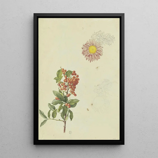Franz Theobald Horny - Firethorn and Chrysanthemum.webp