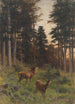 Jeleń o zmierzchu - Franz Xaver von Pausinger — widok dzieła