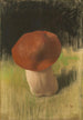 Le champignon - Franz von Stuck — widok dzieła