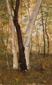 W lasach Hudson w Nowym Jorku - Frederic Edwin Church — widok dzieła