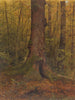 W lasach, prawdopodobnie w Maine - Frederic Edwin Church — widok dzieła