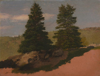 Krajobraz Nowej Anglii z dwoma sosnami - Frederic Edwin Church — widok dzieła