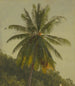 Palmy Antylskie - Frederic Edwin Church — widok dzieła