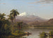Palmiers Tamaca - Frederic Edwin Church — widok dzieła