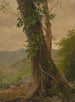 Drzewo z winoroślami na Jamajce Antyle - Frederic Edwin Church — widok dzieła