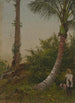 Drzew na Jamajce Antyle - Frederic Edwin Church — widok dzieła