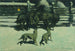 L'Apel o pomoc - Frederic Remington — widok dzieła