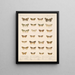 Insekty Lepidoptera Heterocera Pl 056 - Frederick Du Cane Godman — oprawiony obraz na ścianie