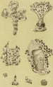 Bryozoaires IX - Frederick McCoy — widok dzieła