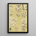 Bryozoaires VI - Frederick McCoy — oprawiony obraz na ścianie