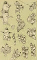 Bryozoaires VIII - Frederick McCoy — widok dzieła