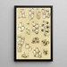 Bryozoaires XVII - Frederick McCoy — oprawiony obraz na ścianie