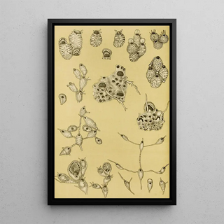 Frederick McCoy - Polyzoa XV.webp