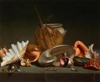 French School - A Still Life With Sea Shells And Molluscs.webp