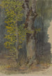 Studium rozgałęziającego się gałęzi - Friedrich Carl von Scheidlin — widok dzieła