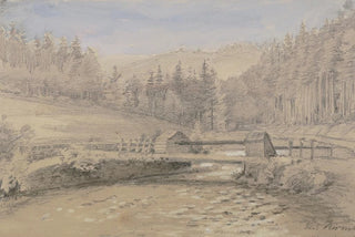 Friedrich Eugen Peipers - Das Kirnitzschtal bei Schandau.webp