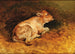 Leżący cielak - Friedrich Gauermann — widok dzieła