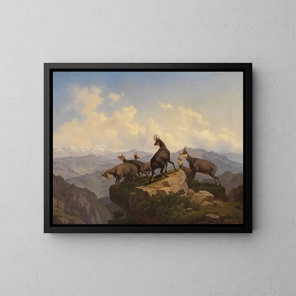 Chamois w Karwendel - Friedrich Hohe — oprawiony obraz na ścianie
