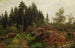 pejzaż leśny - Fritz Freund — widok dzieła