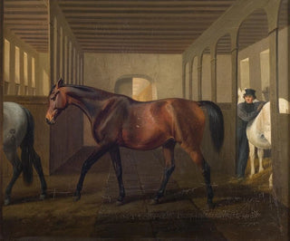 Fritz Thomsen - Rosetta.webp