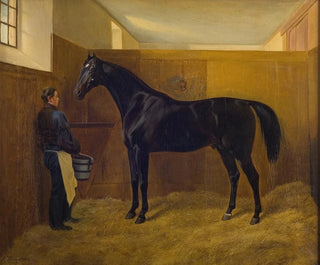 Fritz Thomsen - Zampa.webp