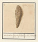 Fulgurite z kamienia piorunowego - Anselmus Botius de Boodt — widok dzieła