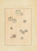 Bijutsukai Pl154 - Furuya Korin - Furuya Korin — widok dzieła