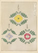 Bijutsukai Pl226 - Furuya Korin — widok dzieła