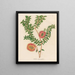 Melaleuca hypericifolia - Gaetano Savi — oprawiony obraz na ścianie