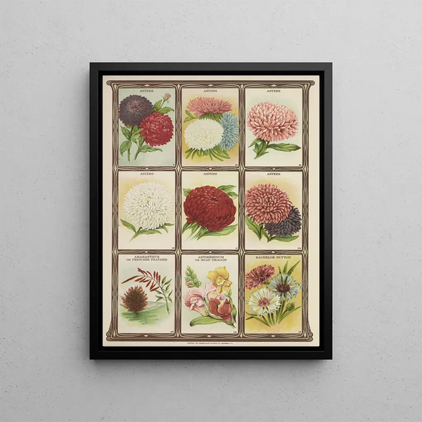 Genesee Valley Lithograph Co - Asters Amaranthus Antirrhinum Bachelor Button.webp