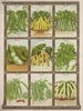 Fasoli - Genesee Valley Lithograph & Co.. — widok dzieła