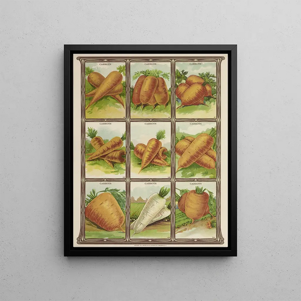 Genesee Valley Lithograph Co - Carrots.webp