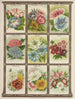 Gloire du matin Mariée en deuil Nigelle Phlox Portulaca - Genesee Valley Lithograph & Co.. — widok dzieła