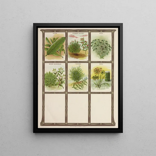Genesee Valley Lithograph Co - Sage Summer Savory Dill Summer Marjoram Thyme.webp