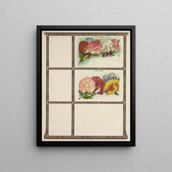 Genesee Valley Lithograph Co - Sweet Peas.webp