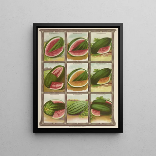 Genesee Valley Lithograph Co - Watermelon.webp