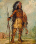 A-Wun-Ne-Wa-Be Oiseau du Tonnerre - George Catlin — widok dzieła