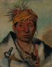 Ah-Yaw-Ne-Tak-Or-Ron wojownik - George Catlin — widok dzieła