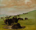 Bizony w kałuży wodnej - George Catlin — widok dzieła