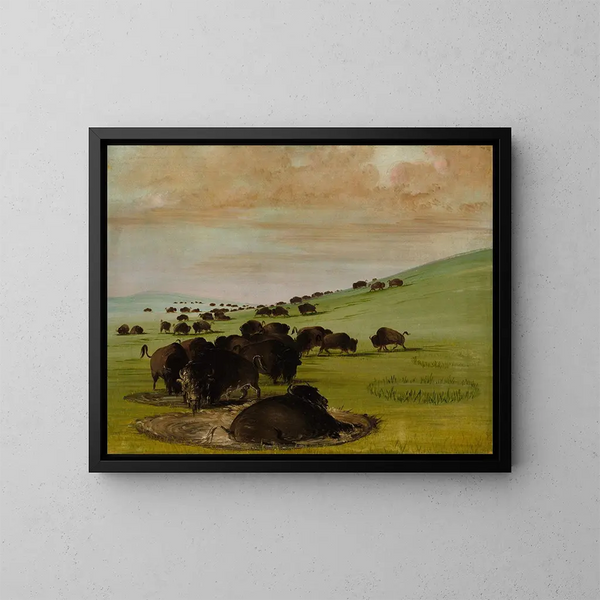 Bizony w kałuży wodnej - George Catlin — oprawiony obraz na ścianie