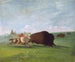 Polowanie na bawoła, jedna śmierć - George Catlin — widok dzieła
