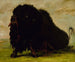 Bison umierający trafiony strzałą - George Catlin — widok dzieła