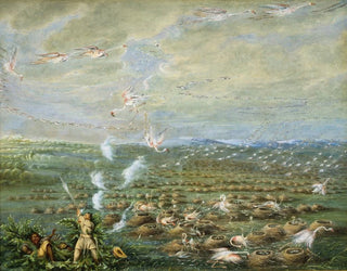 Tir de flamants en Amérique du Sud - George Catlin — widok dzieła