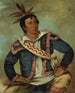 Tortue serpentine H-Tchoo-Tc-Knee, une métisse - George Catlin — widok dzieła