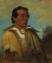 Keennekuk, Pierwszy Mężczyzna, Szef Plemienia - George Catlin — widok dzieła